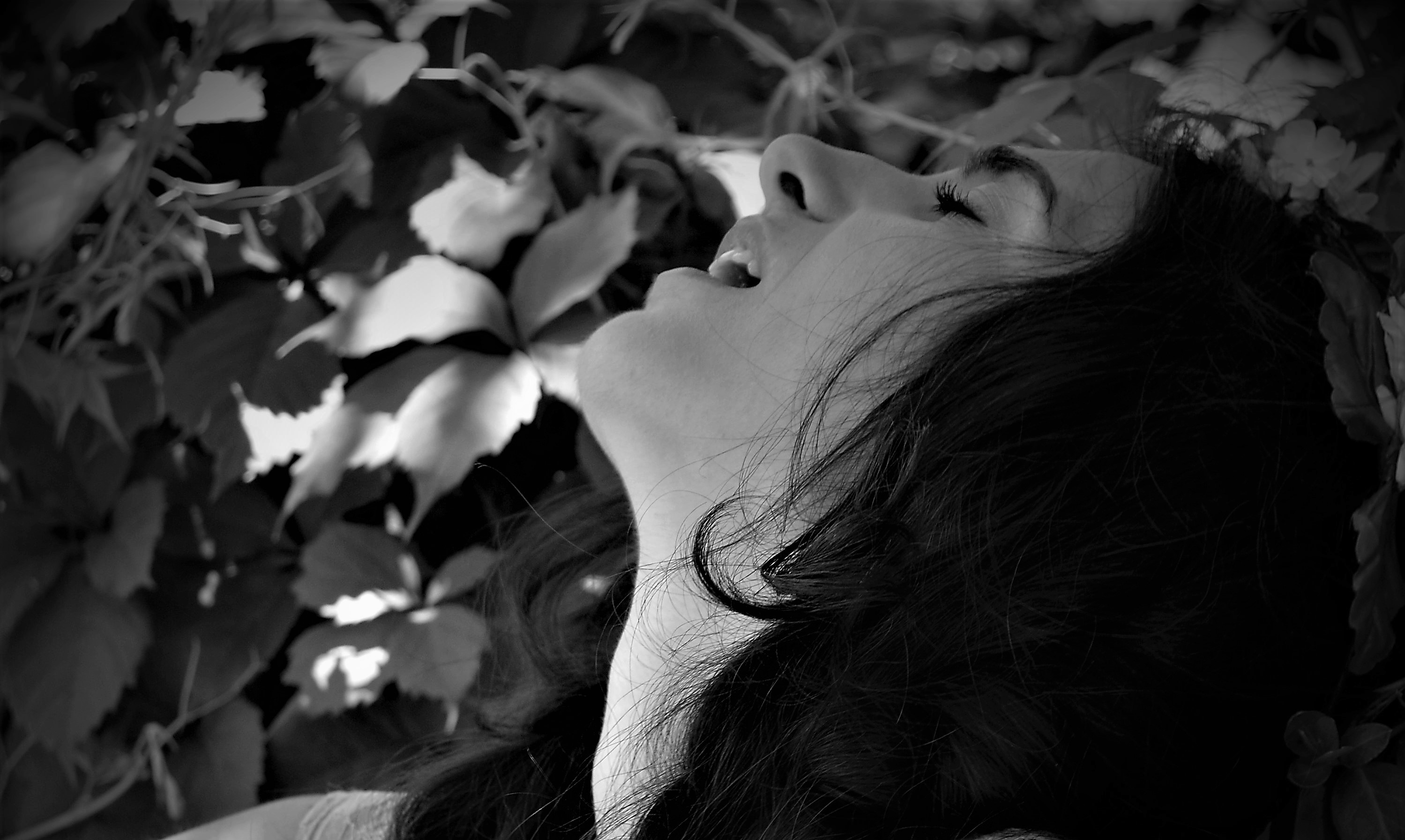 Within and Beyond: The Infinite Connection to Our Desires